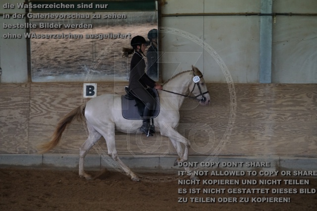 s_K3F03905.JPG